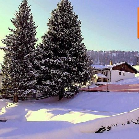 Appartement Nr 19, Alpenappartementhaus, Oberstaufen-Steibis, Allgaeu, Oberstaufen Plus Exteriör bild