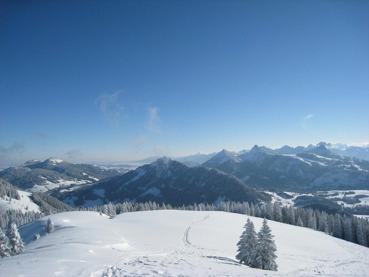 Appartement Nr 19, Alpenappartementhaus, Oberstaufen-Steibis, Allgaeu, Oberstaufen Plus Exteriör bild